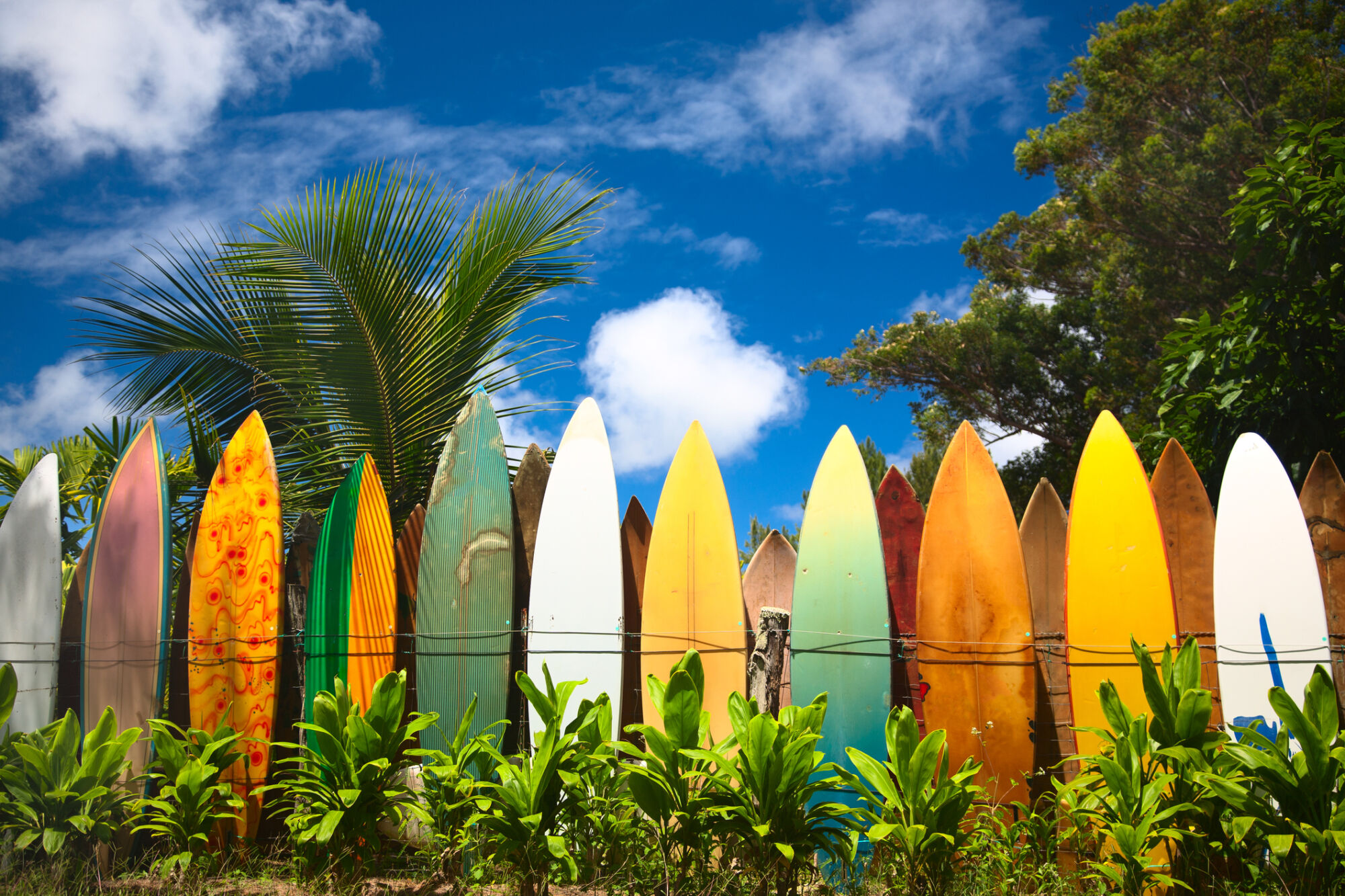 Hawaii looks to ramp PE commitments up to $1bn in 2024
