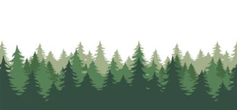 Photo illustration of forest of evergreen trees.