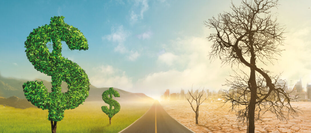 Money, road, two halves, T9