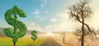 Money, road, two halves, T9