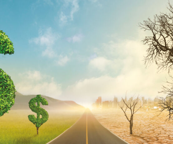 Money, road, two halves, T9