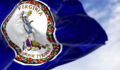 Virginia pension cuts private equity target, citing volatility concerns