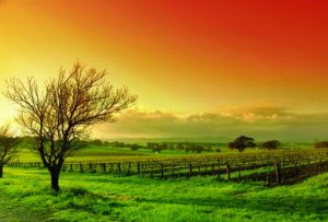A new dawn
